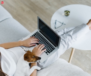 Woman working on a laptop with puppy sleeping in her lap